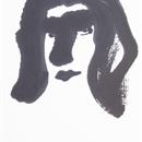 images/galeries/16/vignettes/SV1617 .jpg